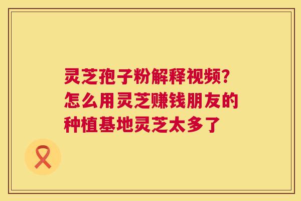灵芝孢子粉解释视频?怎么用灵芝赚钱朋友的种植基地灵芝太多了 第1张 灵芝孢子粉解释视频?怎么用灵芝赚钱朋友的种植基地灵芝太多了 第1张