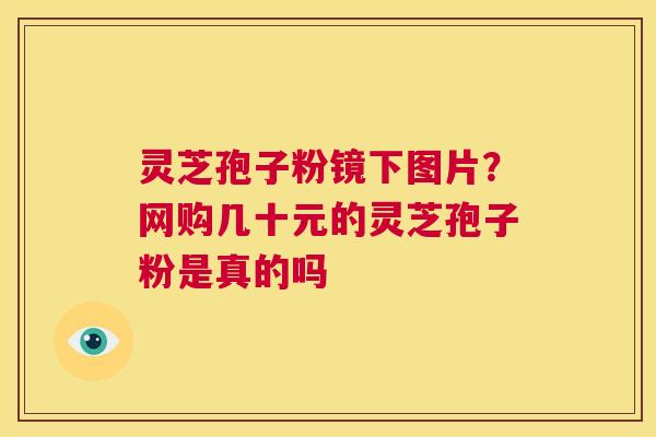 灵芝孢子粉镜下图片?网购几十元的灵芝孢子粉是真的吗 第1张 灵芝孢子粉镜下图片?网购几十元的灵芝孢子粉是真的吗 第1张