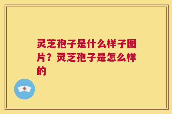 灵芝孢子是什么样子图片？灵芝孢子是怎么样的  第1张