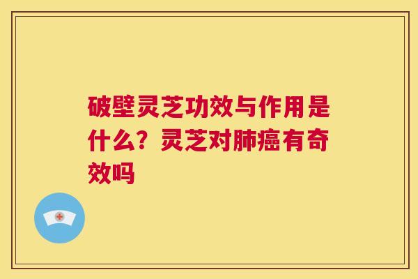 破壁灵芝功效与作用是什么?灵芝对肺癌有奇效吗 第1张 破壁灵芝功效与作用是什么?灵芝对肺癌有奇效吗 第1张
