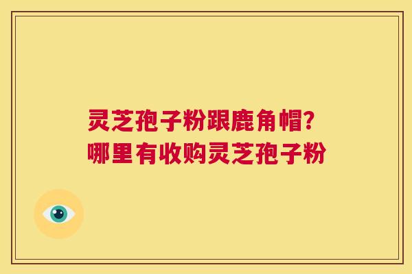 灵芝孢子粉跟鹿角帽?哪里有收购灵芝孢子粉 第1张 灵芝孢子粉跟鹿角帽?哪里有收购灵芝孢子粉 第1张