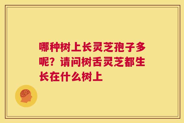 哪种树上长灵芝孢子多呢?请问树舌灵芝都生长在什么树上 第1张 哪种树上长灵芝孢子多呢?请问树舌灵芝都生长在什么树上 第1张