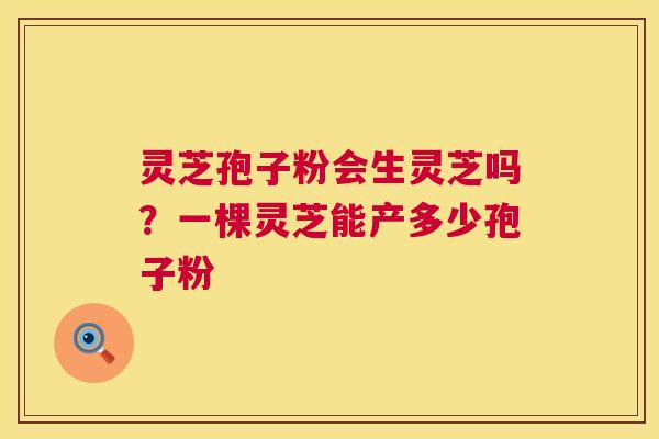 灵芝孢子粉会生灵芝吗?一棵灵芝能产多少孢子粉 第1张 灵芝孢子粉会生灵芝吗?一棵灵芝能产多少孢子粉 第1张
