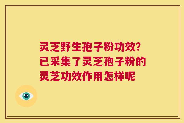 灵芝野生孢子粉功效？已采集了灵芝孢子粉的灵芝功效作用怎样呢  第1张