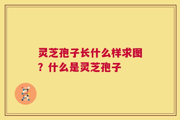 灵芝孢子长什么样求图?什么是灵芝孢子 第1张 灵芝孢子长什么样求图?什么是灵芝孢子 第1张