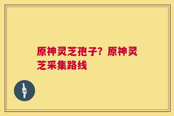 原神灵芝孢子?原神灵芝采集路线 第1张 原神灵芝孢子?原神灵芝采集路线 第1张