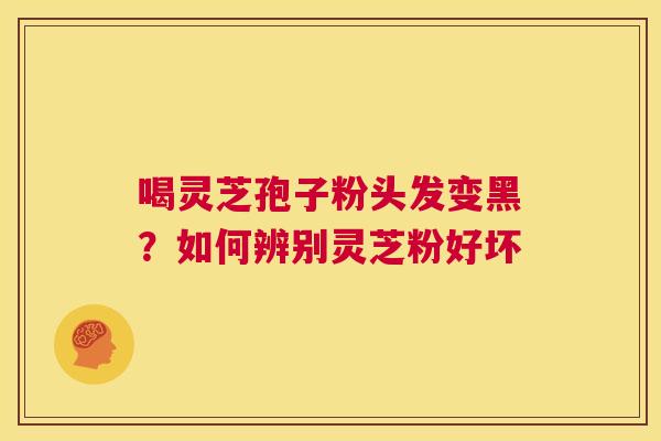喝灵芝孢子粉头发变黑？如何辨别灵芝粉好坏  第1张