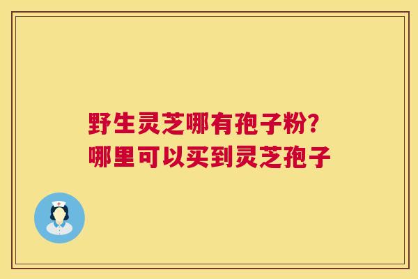 野生灵芝哪有孢子粉?哪里可以买到灵芝孢子 第1张 野生灵芝哪有孢子粉?哪里可以买到灵芝孢子 第1张