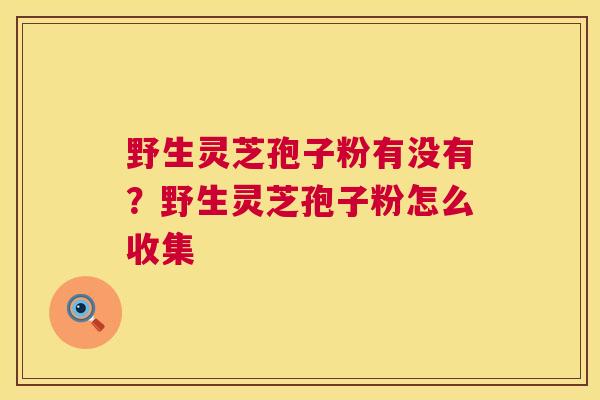 野生灵芝孢子粉有没有?野生灵芝孢子粉怎么收集 第1张 野生灵芝孢子粉有没有?野生灵芝孢子粉怎么收集 第1张