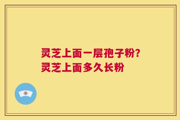 灵芝上面一层孢子粉?灵芝上面多久长粉 第1张 灵芝上面一层孢子粉?灵芝上面多久长粉 第1张