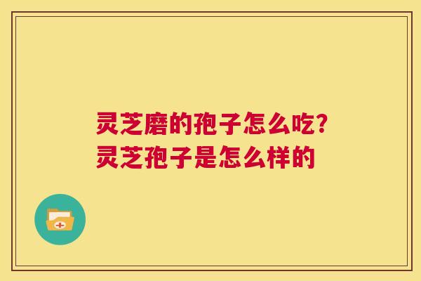 灵芝磨的孢子怎么吃?灵芝孢子是怎么样的 第1张 灵芝磨的孢子怎么吃?灵芝孢子是怎么样的 第1张