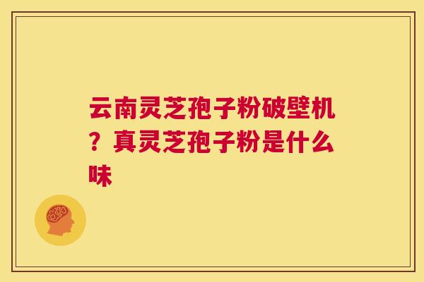 云南灵芝孢子粉破壁机?真灵芝孢子粉是什么味 第1张 云南灵芝孢子粉破壁机?真灵芝孢子粉是什么味 第1张