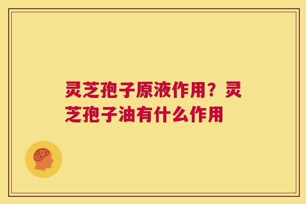 灵芝孢子原液作用?灵芝孢子油有什么作用 第1张 灵芝孢子原液作用?灵芝孢子油有什么作用 第1张