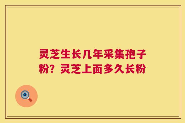 灵芝生长几年采集孢子粉?灵芝上面多久长粉 第1张 灵芝生长几年采集孢子粉?灵芝上面多久长粉 第1张