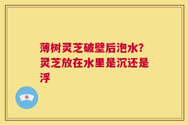薄树灵芝破壁后泡水?灵芝放在水里是沉还是浮 第1张 薄树灵芝破壁后泡水?灵芝放在水里是沉还是浮 第1张