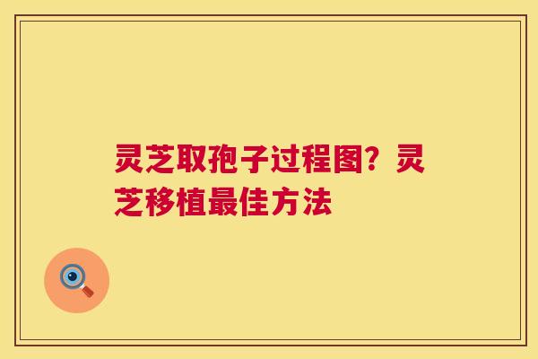 灵芝取孢子过程图？灵芝移植最佳方法  第1张
