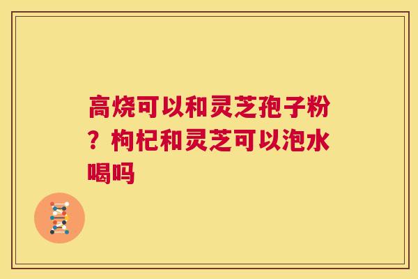 高烧可以和灵芝孢子粉？枸杞和灵芝可以泡水喝吗  第1张