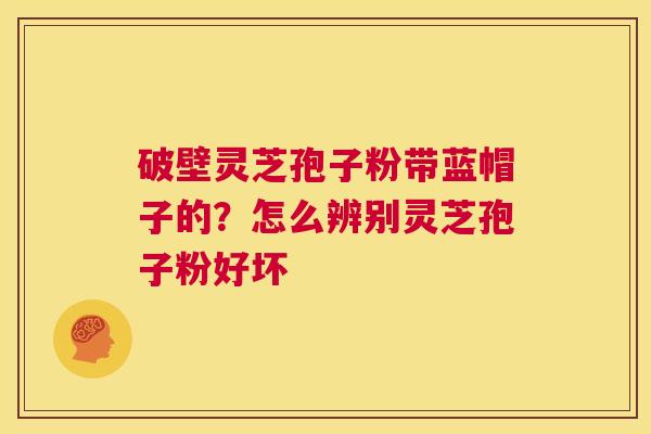破壁灵芝孢子粉带蓝帽子的?怎么辨别灵芝孢子粉好坏 第1张 破壁灵芝孢子粉带蓝帽子的?怎么辨别灵芝孢子粉好坏 第1张