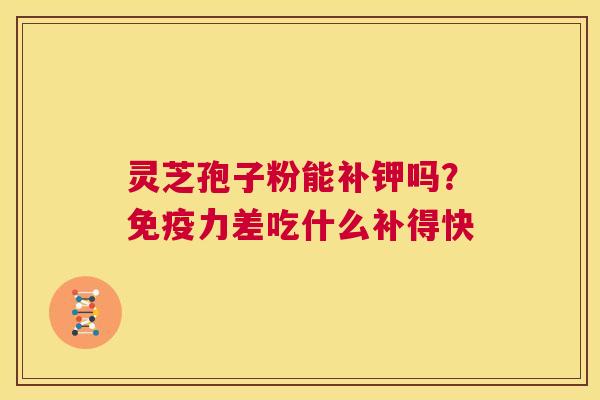 灵芝孢子粉能补钾吗?免疫力差吃什么补得快 第1张 灵芝孢子粉能补钾吗?免疫力差吃什么补得快 第1张