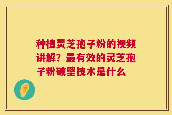 种植灵芝孢子粉的视频讲解？最有效的灵芝孢子粉破壁技术是什么  第1张