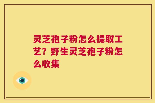 灵芝孢子粉怎么提取工艺?野生灵芝孢子粉怎么收集 第1张 灵芝孢子粉怎么提取工艺?野生灵芝孢子粉怎么收集 第1张