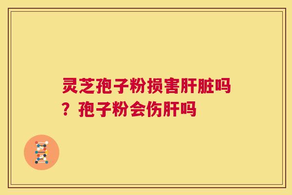 灵芝孢子粉损害肝脏吗？孢子粉会伤肝吗  第1张