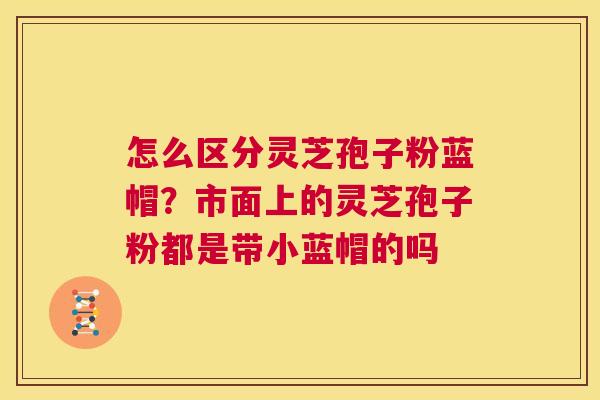 怎么区分灵芝孢子粉蓝帽?市面上的灵芝孢子粉都是带小蓝帽的吗 第1张 怎么区分灵芝孢子粉蓝帽?市面上的灵芝孢子粉都是带小蓝帽的吗 第1张
