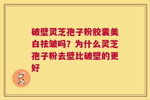 破壁灵芝孢子粉胶囊美白祛皱吗?为什么灵芝孢子粉去壁比破壁的更好 第1张 破壁灵芝孢子粉胶囊美白祛皱吗?为什么灵芝孢子粉去壁比破壁的更好 第1张