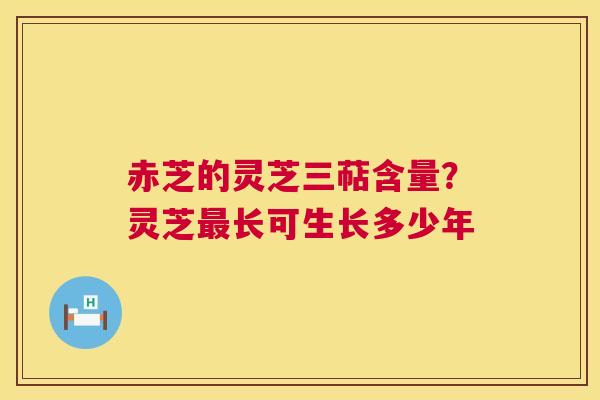 赤芝的灵芝三萜含量？灵芝最长可生长多少年  第1张