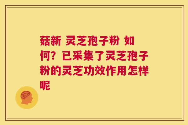 菇新 灵芝孢子粉 如何?已采集了灵芝孢子粉的灵芝功效作用怎样呢 第1张 菇新 灵芝孢子粉 如何?已采集了灵芝孢子粉的灵芝功效作用怎样呢 第1张