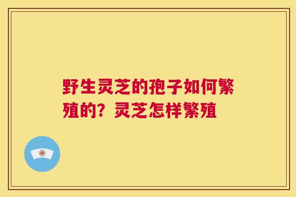 野生灵芝的孢子如何繁殖的?灵芝怎样繁殖 第1张 野生灵芝的孢子如何繁殖的?灵芝怎样繁殖 第1张
