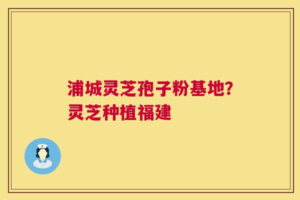 浦城灵芝孢子粉基地？灵芝种植福建  第1张
