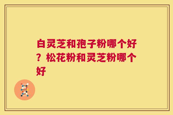 白灵芝和孢子粉哪个好?松花粉和灵芝粉哪个好 第1张 白灵芝和孢子粉哪个好?松花粉和灵芝粉哪个好 第1张