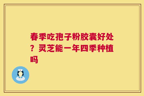 春季吃孢子粉胶囊好处？灵芝能一年四季种植吗  第1张