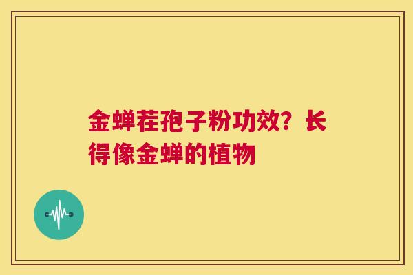 金蝉茬孢子粉功效？长得像金蝉的植物  第1张