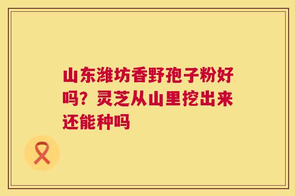 山东潍坊香野孢子粉好吗?灵芝从山里挖出来还能种吗 第1张 山东潍坊香野孢子粉好吗?灵芝从山里挖出来还能种吗 第1张