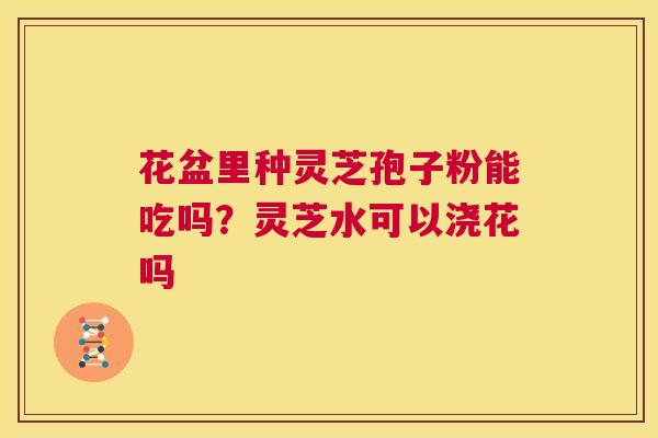 花盆里种灵芝孢子粉能吃吗?灵芝水可以浇花吗 第1张 花盆里种灵芝孢子粉能吃吗?灵芝水可以浇花吗 第1张