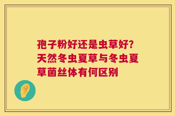 孢子粉好还是虫草好?天然冬虫夏草与冬虫夏草菌丝体有何区别 第1张 孢子粉好还是虫草好?天然冬虫夏草与冬虫夏草菌丝体有何区别 第1张