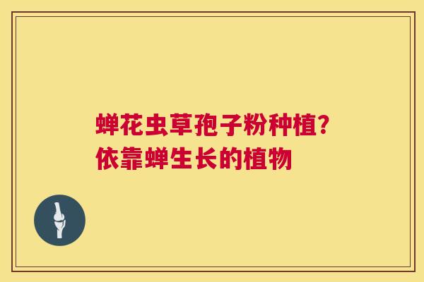 蝉花虫草孢子粉种植？依靠蝉生长的植物  第1张