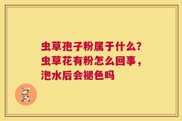 虫草孢子粉属于什么?虫草花有粉怎么回事,泡水后会褪色吗 第1张 虫草孢子粉属于什么?虫草花有粉怎么回事,泡水后会褪色吗 第1张
