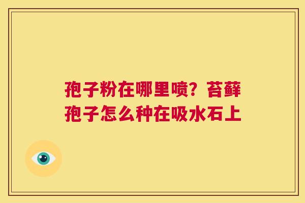 孢子粉在哪里喷?苔藓孢子怎么种在吸水石上 第1张 孢子粉在哪里喷?苔藓孢子怎么种在吸水石上 第1张