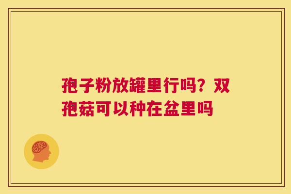 孢子粉放罐里行吗?双孢菇可以种在盆里吗 第1张 孢子粉放罐里行吗?双孢菇可以种在盆里吗 第1张