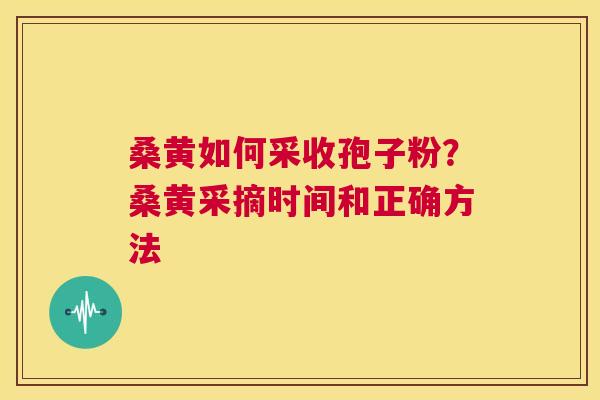桑黄如何采收孢子粉?桑黄采摘时间和正确方法 第1张 桑黄如何采收孢子粉?桑黄采摘时间和正确方法 第1张