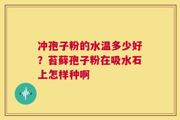 冲孢子粉的水温多少好?苔藓孢子粉在吸水石上怎样种啊 第1张 冲孢子粉的水温多少好?苔藓孢子粉在吸水石上怎样种啊 第1张