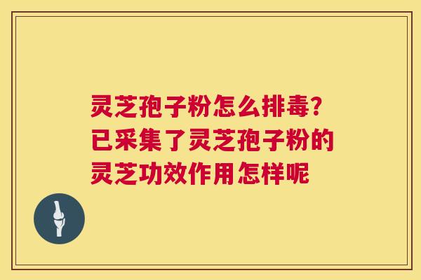 灵芝孢子粉怎么排毒?已采集了灵芝孢子粉的灵芝功效作用怎样呢 第1张 灵芝孢子粉怎么排毒?已采集了灵芝孢子粉的灵芝功效作用怎样呢 第1张