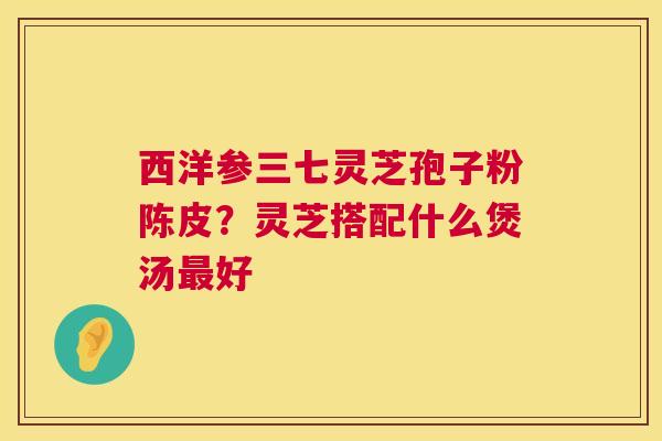 西洋参三七灵芝孢子粉陈皮?灵芝搭配什么煲汤最好 第1张 西洋参三七灵芝孢子粉陈皮?灵芝搭配什么煲汤最好 第1张