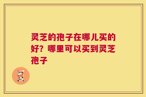 灵芝的孢子在哪儿买的好？哪里可以买到灵芝孢子  第1张