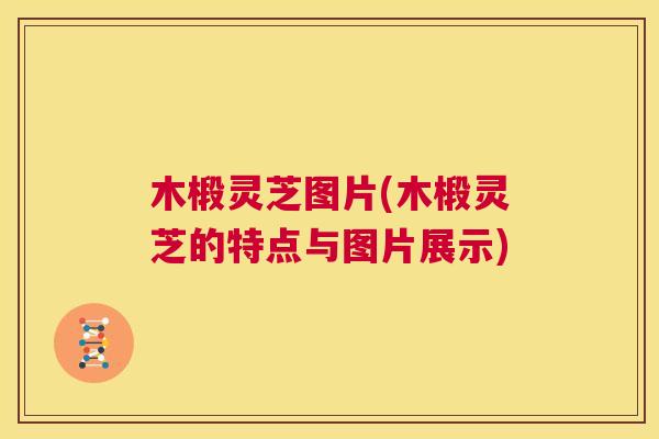 木椴灵芝图片(木椴灵芝的特点与图片展示) 第1张 木椴灵芝图片(木椴灵芝的特点与图片展示) 第1张