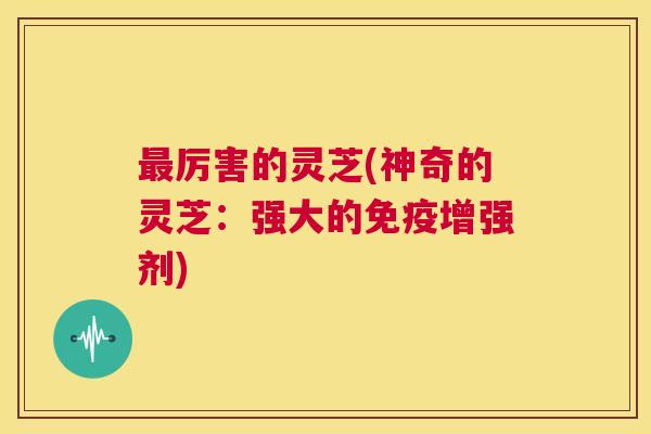 最厉害的灵芝(神奇的灵芝:强大的免疫增强剂) 第1张 最厉害的灵芝(神奇的灵芝:强大的免疫增强剂) 第1张