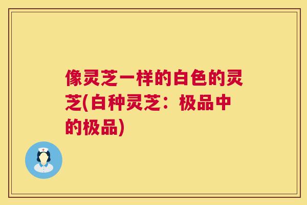 像灵芝一样的白色的灵芝(白种灵芝:极品中的极品) 第1张 像灵芝一样的白色的灵芝(白种灵芝:极品中的极品) 第1张